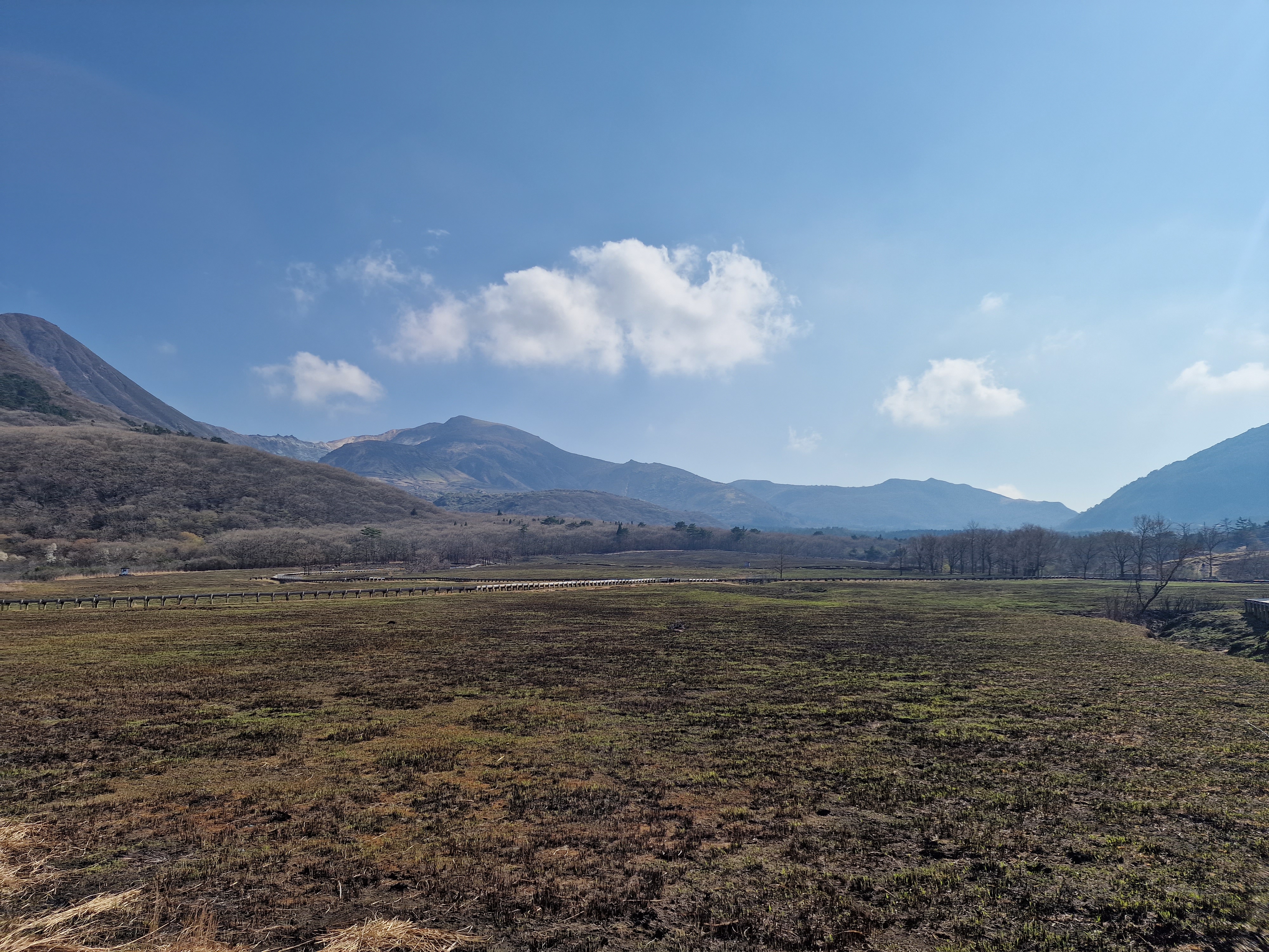 Burnt vegetation as far as the eyes can see