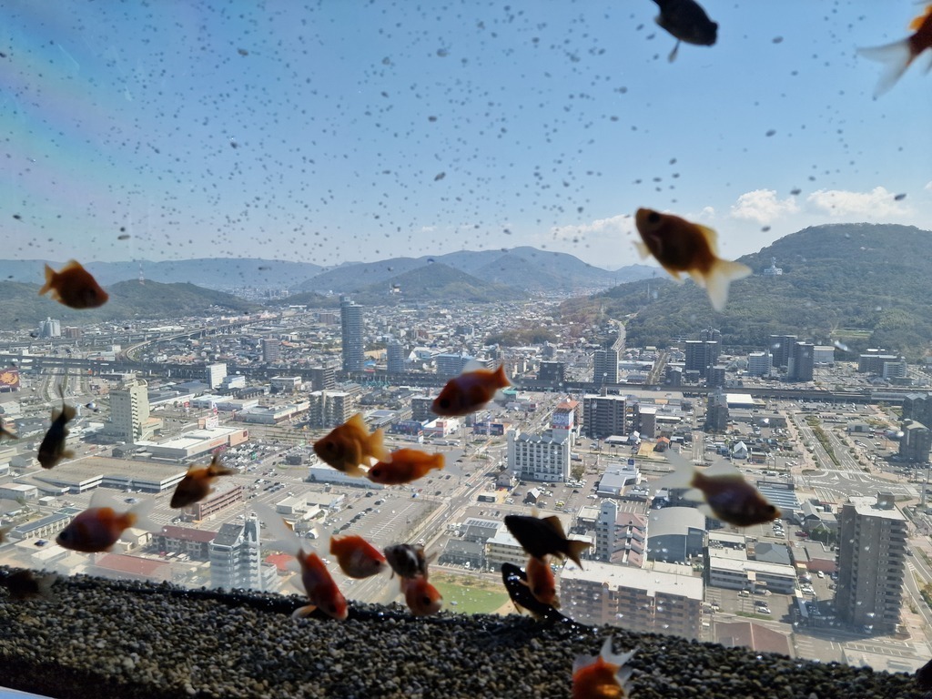 An aquarium also working as a window of this sky scraper