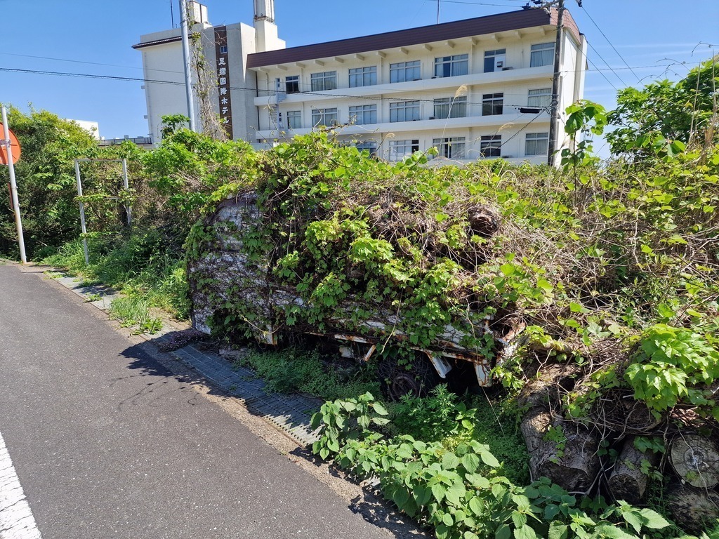 A Kei truck consumed by foilage