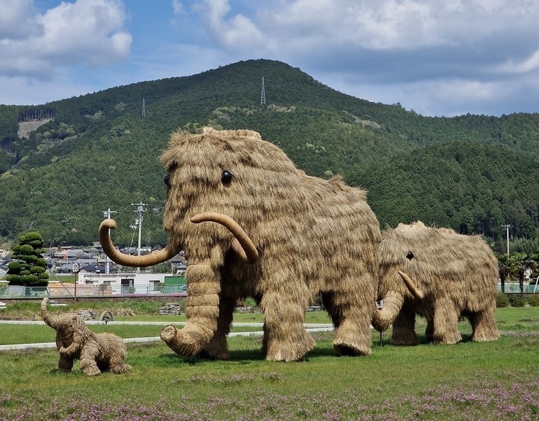 A family of mammoths made out of straw