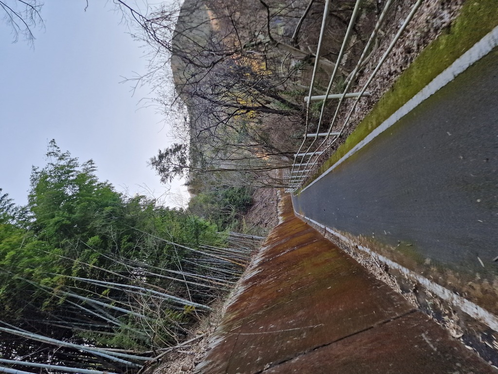 A narrow bike path close to a moss covered concrete wall on one side, and a fence on the other.