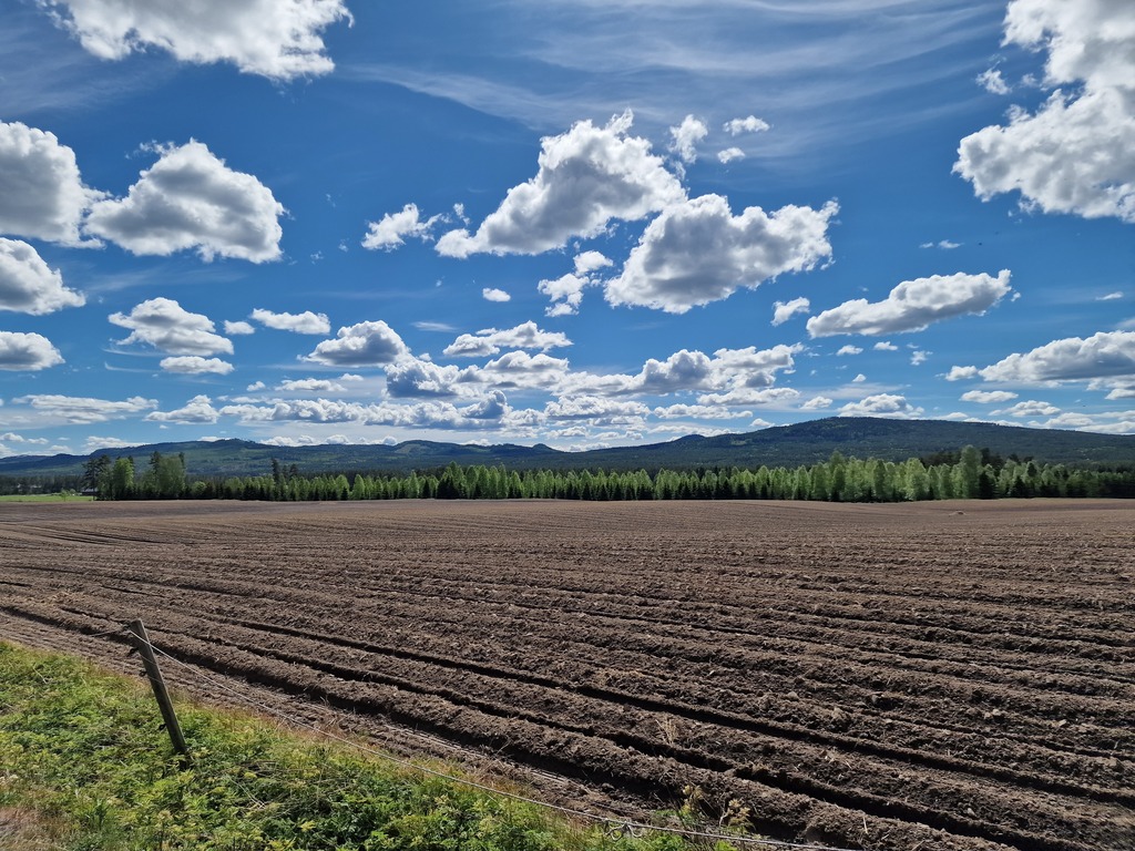 A huge newly plowed field.