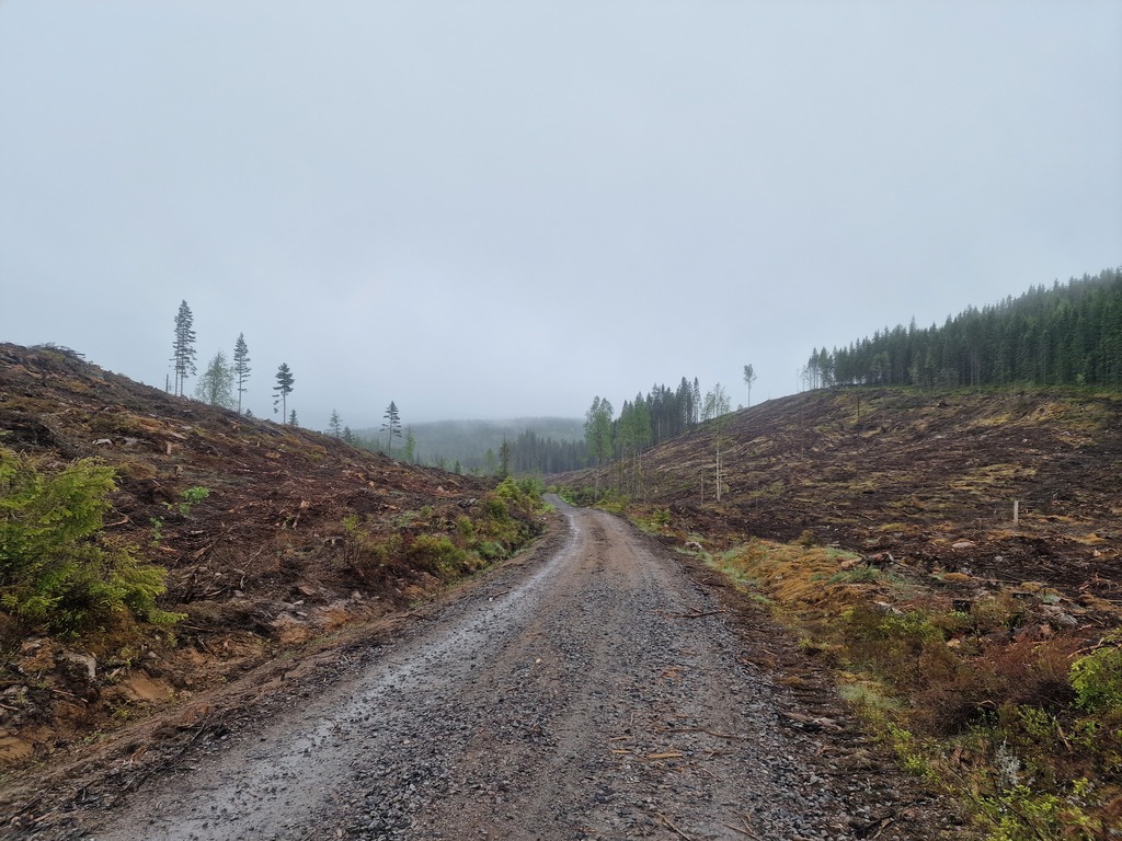 A gravel road in between a huge clear cutting field, with gray sky.