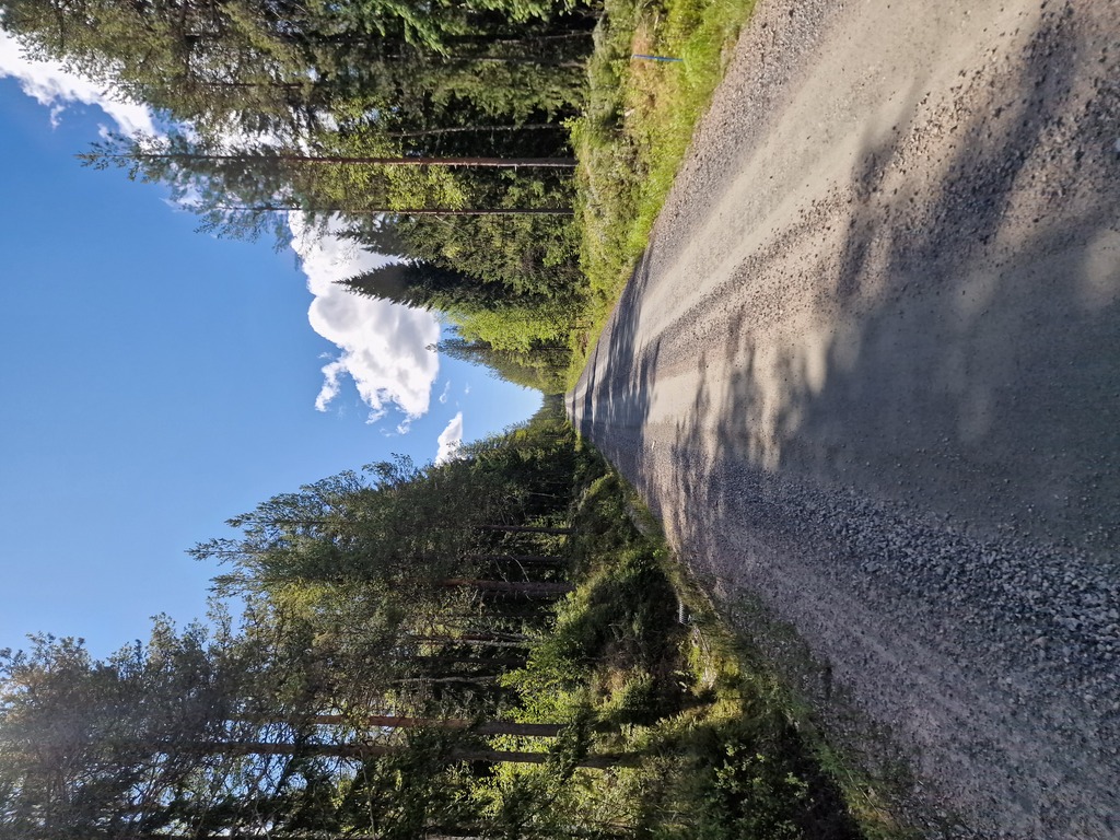A long straight gravel road, surrounded by trees.